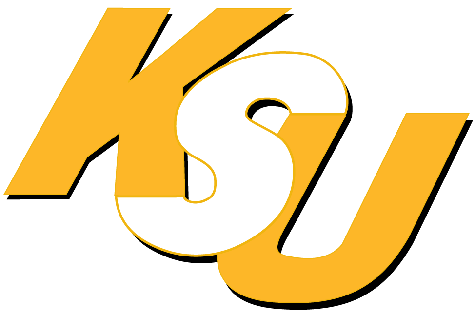 Kennesaw State Owls 0-2011 Wordmark Logo v2 iron on transfers for clothing